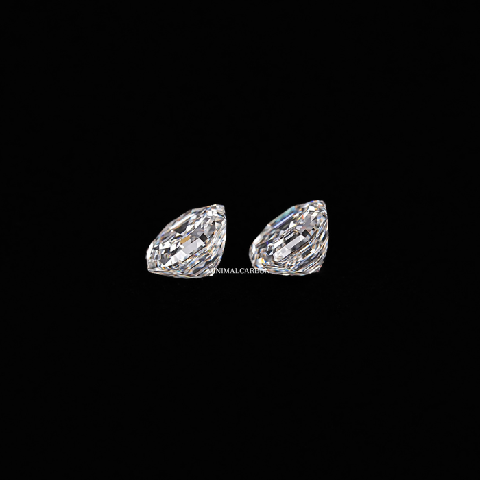 0.66 CT Octagon Cut Natural Loose Matching Pair Diamond