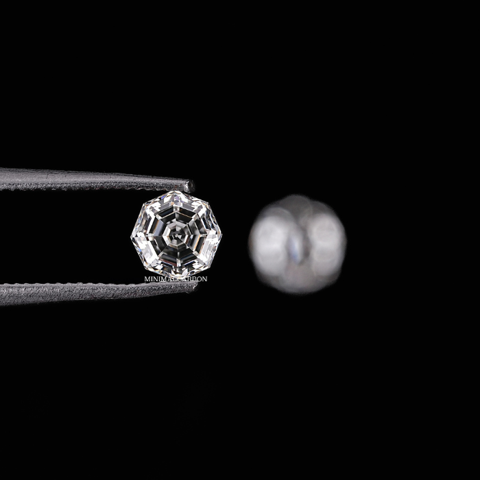 0.66 CT Octagon Cut Natural Loose Matching Pair Diamond