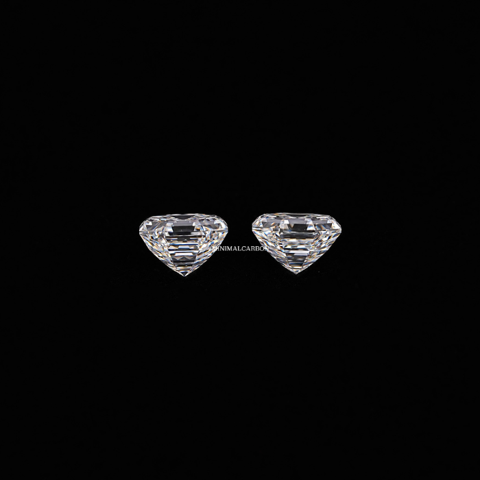 1.02 CT Octagon Cut Natural Loose Matching Pair Diamond