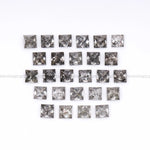 Salt And Pepper Princess Cut Diamond