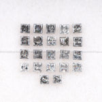 Salt And Pepper Princess Cut Diamond
