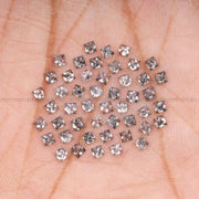 1.2 MM Salt And Pepper Princess Cut Diamond