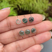 Natural Moss Agate | Loose Hexagon Moss Agate - Minimal Carbon