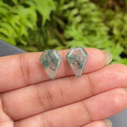 10.90 CT, 15.6 X 11.9 MM | Natural Moss Agate Pair | Pentagon Moss Agate - Minimal Carbon