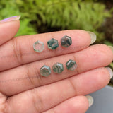 Natural Moss Agate | Loose Hexagon Moss Agate - Minimal Carbon