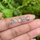 Natural Moss Agate | Loose Oval Moss Agate - Minimal Carbon