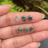 Natural Moss Agate | Loose Hexagon Moss Agate - Minimal Carbon