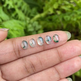 Natural Moss Agate | Loose Oval Moss Agate - Minimal Carbon