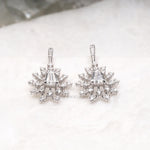 Load image into Gallery viewer, Dangle Earring Diamond Earring Pair
