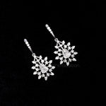 Load image into Gallery viewer, Dangle Earring Diamond Earring Pair
