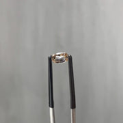 Custom Order (3 Champagne Pcs) - Second Installment