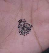 0.43 CT, 1.2 MM Enhanced Black Color Diamond Round Brilliant Cut Natural Loose Diamond