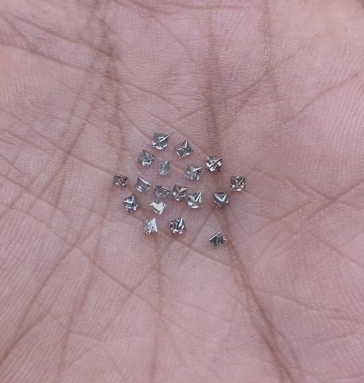 Salt And Pepper Princess Cut Diamond