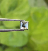 Salt And Pepper Princess Cut Diamond