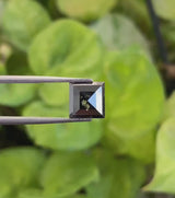 Natural Loose Salt And Pepper Black Princess Cut Diamond