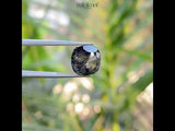 5.95 CT, 9.8 X 9.3 MM | Salt And Pepper Cushion Cut Diamond