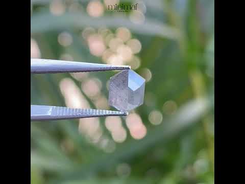 0.80 CT, 8.0 X 5.2 MM | Salt And Pepper Hexagon Cut Diamond