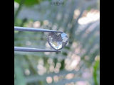 1.38 CT, 9.0 X 8.0 MM | Salt And Pepper Heart Diamond