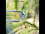 1.56 CT, 9.6 X 6.9 MM | Salt And Pepper Oval Cut Diamond