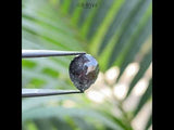 2.67 CT, 9.6 X 7.4 MM | Salt And Pepper Pear Cut Diamond