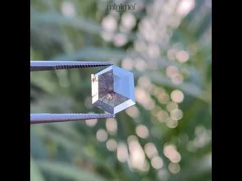 1.24 CT, 9.7 X 7.8 MM | Salt And Pepper Hexagon Cut Diamond