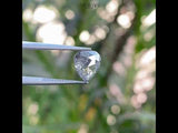 1.68 CT, 7.3 X 6.7 MM | Salt And Pepper Pear Cut Diamond