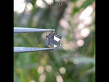 1.52 CT, 6.9 X 5.6 MM | Salt And Pepper Hexagon Cut Diamond