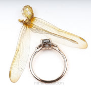 Oval Salt And Pepper Diamond Engagement Ring - Minimal Carbon