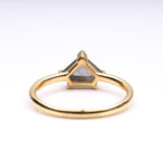 Load image into Gallery viewer, Greyish Pentagon Salt And Pepper Diamond Ring
