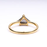 Greyish Pentagon Salt And Pepper Diamond Ring - Minimal Carbon